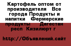 Картофель оптом от производителя - Все города Продукты и напитки » Фермерские продукты   . Дагестан респ.,Кизилюрт г.